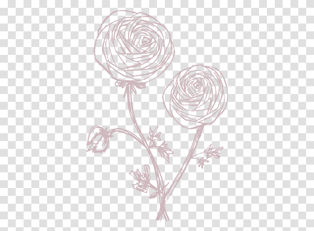 Sketch, Apparel Transparent Png