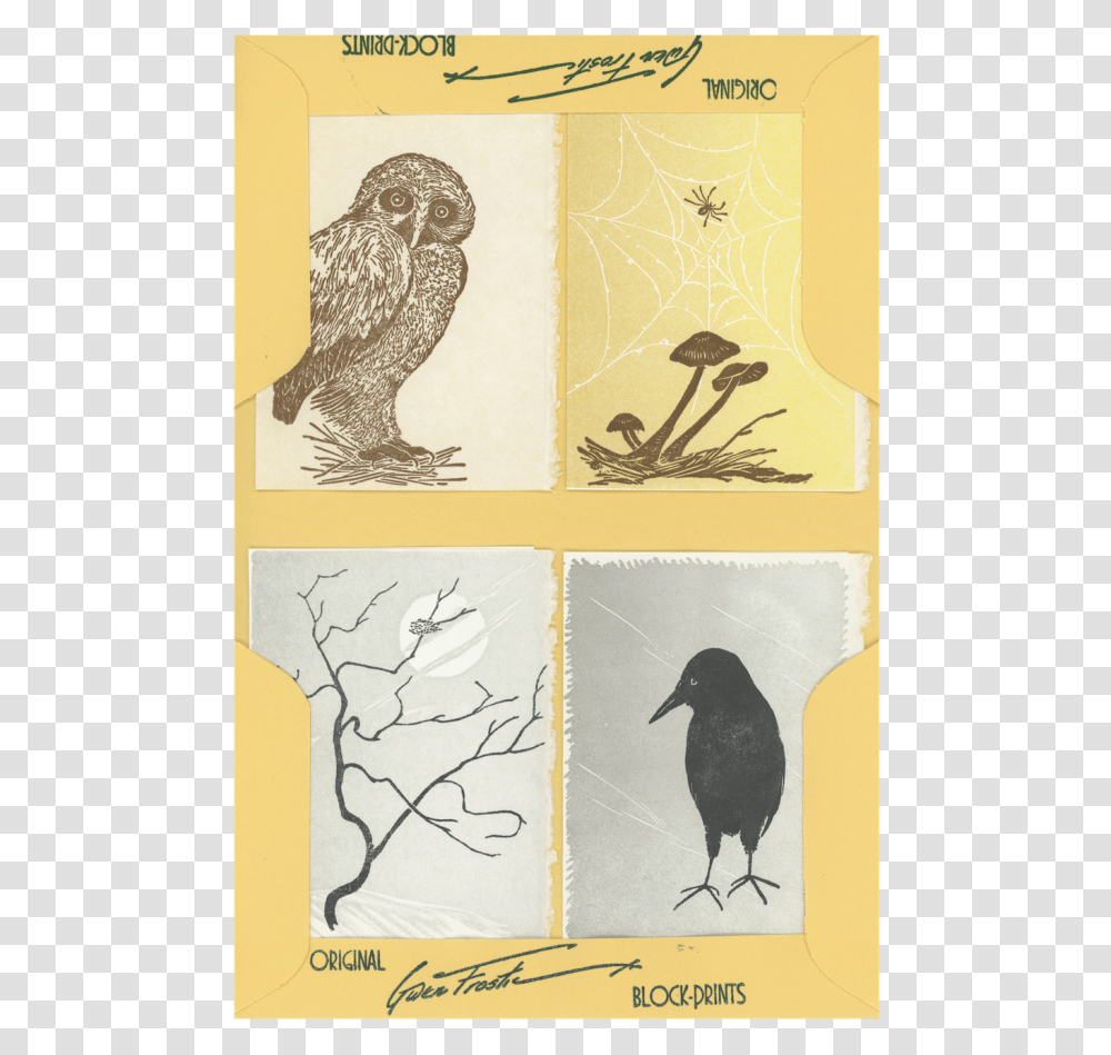 Sketch, Bird, Animal, Drawing Transparent Png