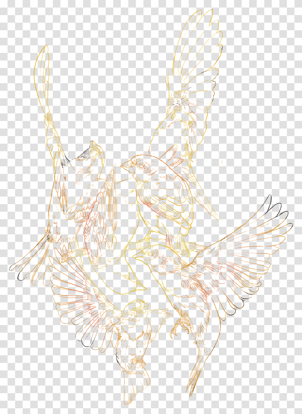 Sketch, Bird, Animal, Modern Art Transparent Png