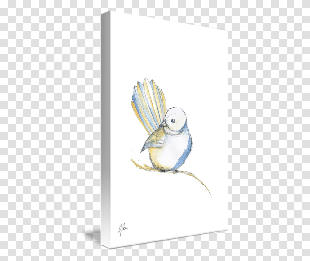 Sketch, Bird, Animal, Canary Transparent Png
