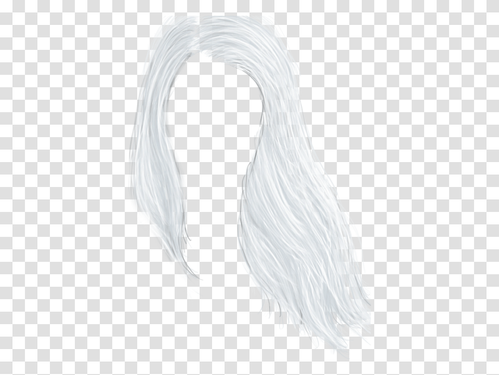 Sketch, Bird, Animal, Waterfowl, Eagle Transparent Png