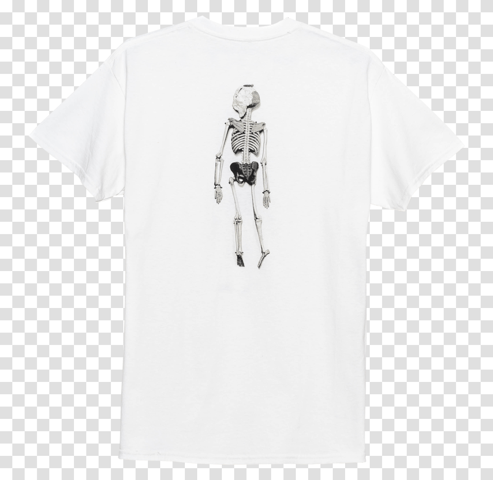 Sketch, Apparel, T-Shirt, Sleeve Transparent Png