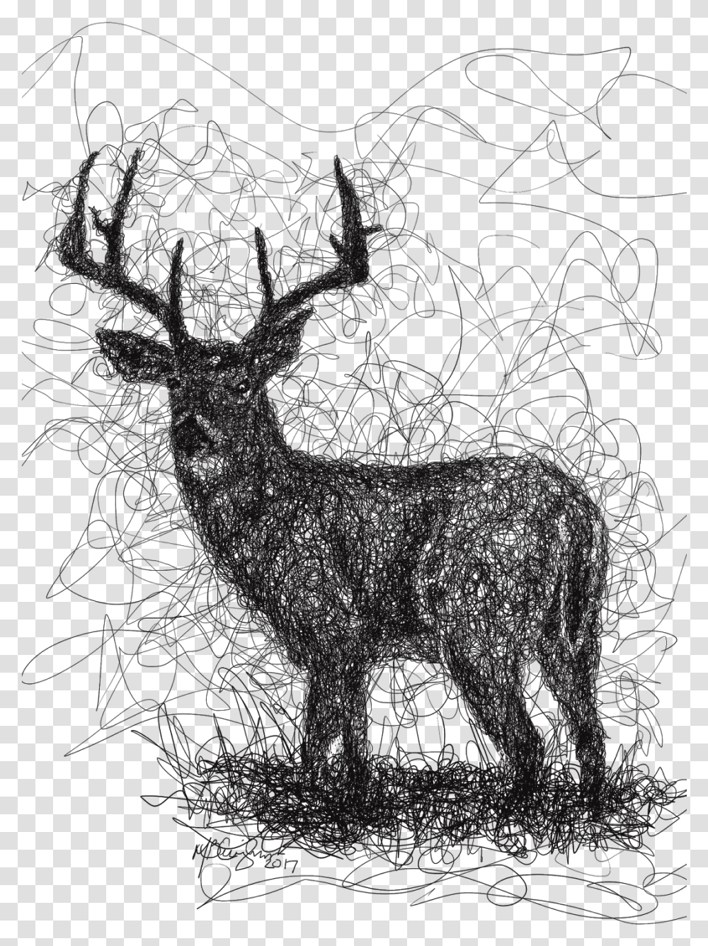 Sketch, Deer, Wildlife, Mammal, Animal Transparent Png