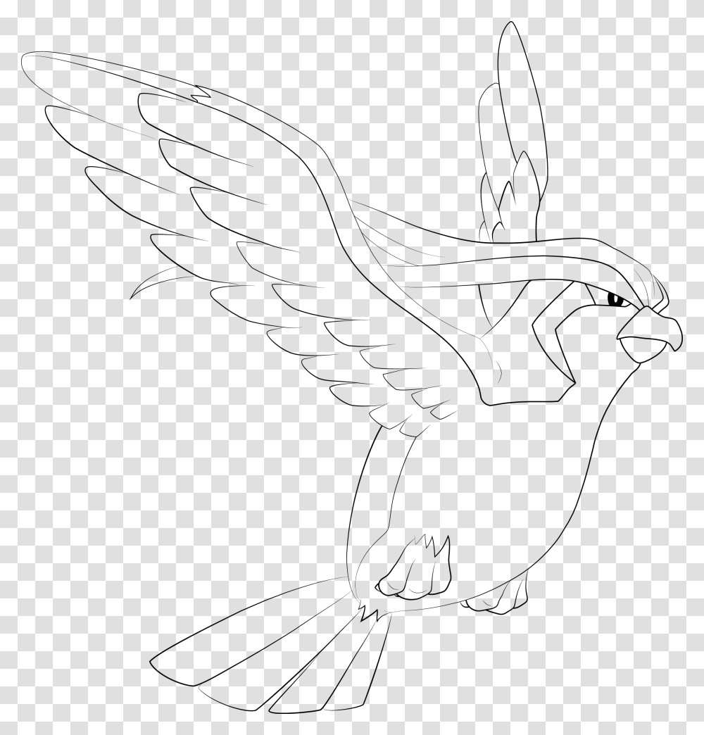 Sketch, Eagle, Bird, Animal, Banana Transparent Png