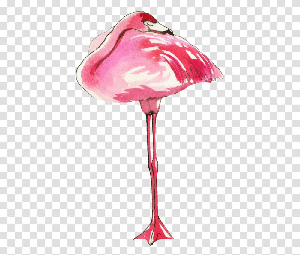 Sketch, Flamingo, Bird, Animal, Lamp Transparent Png