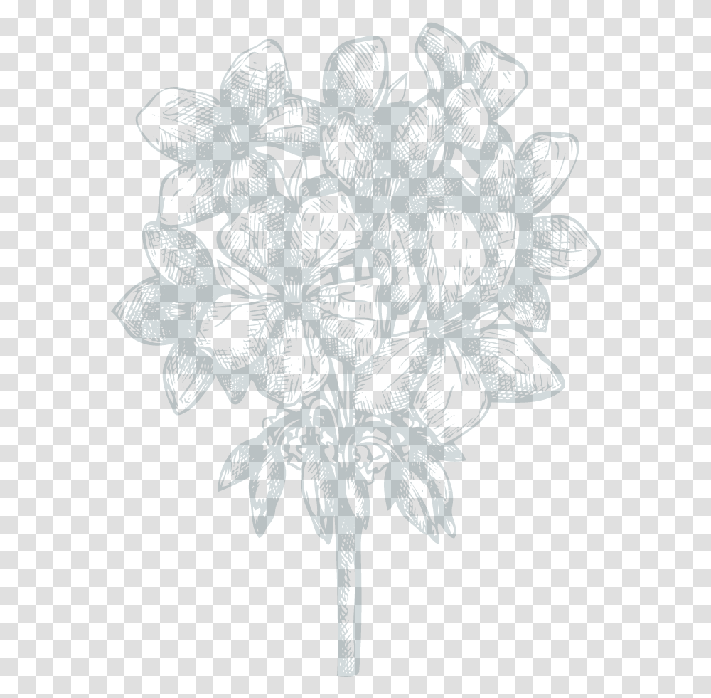 Sketch, Floral Design, Pattern Transparent Png