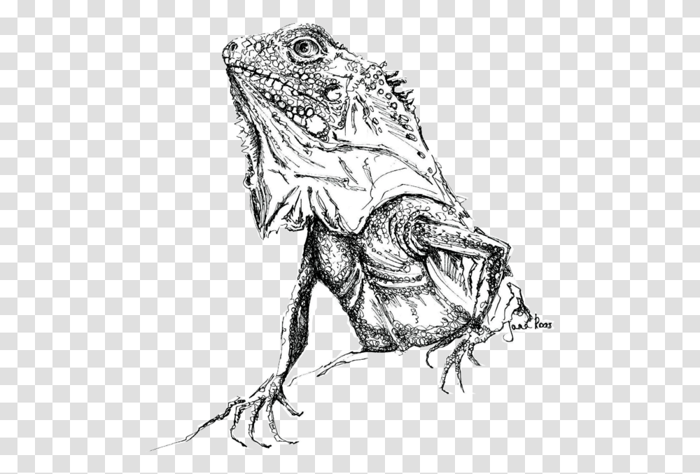 Sketch, Iguana, Lizard, Reptile, Animal Transparent Png