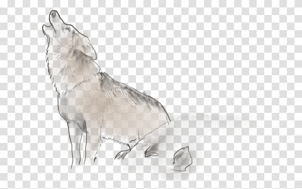 Sketch, Mammal, Animal, Horse, Canine Transparent Png