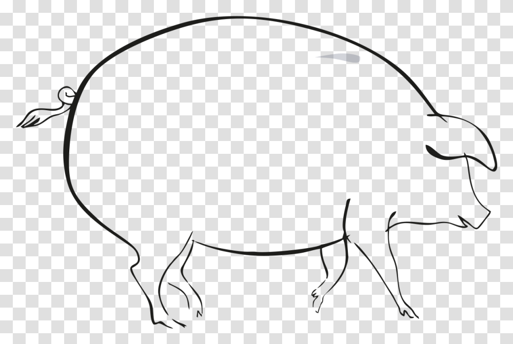 Sketch, Mammal, Animal, Pig, Hog Transparent Png