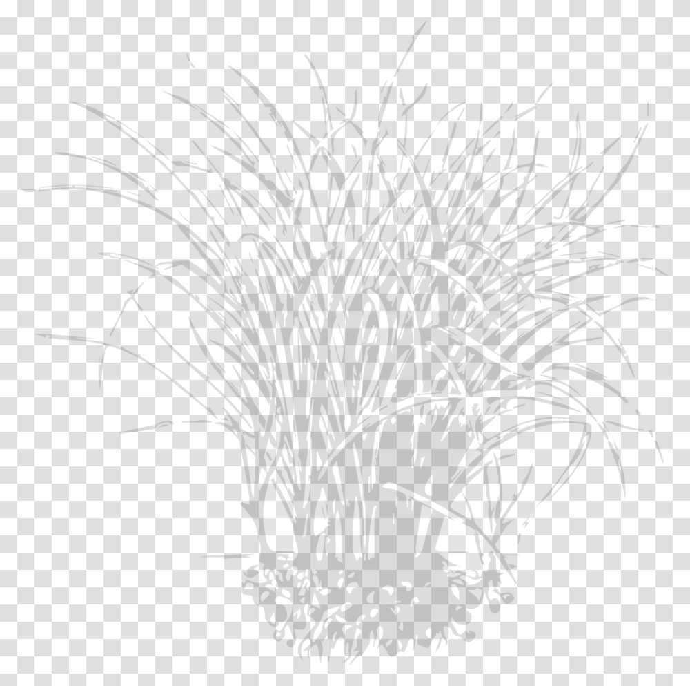 Sketch, Nature, Chandelier, Lamp, Outdoors Transparent Png