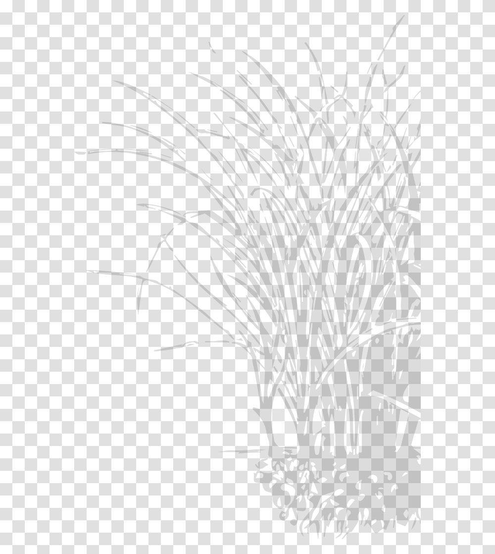 Sketch, Nature, Outdoors, Night, Fireworks Transparent Png