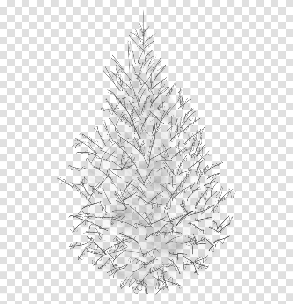 Sketch Of A Canaan Fir Tree Pine Sketch, Outdoors, Nature, Plot Transparent Png