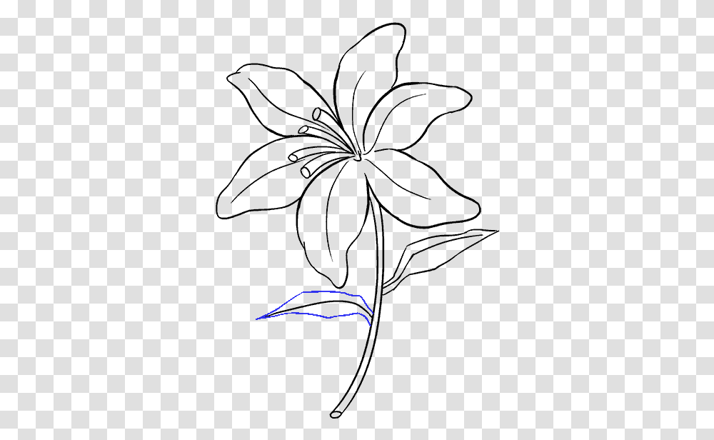 Sketch Of Lily Flower, Bird, Animal, Outdoors, Arrow Transparent Png