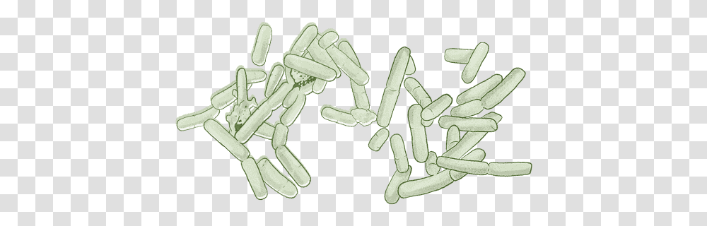 Sketch, Pill, Medication Transparent Png