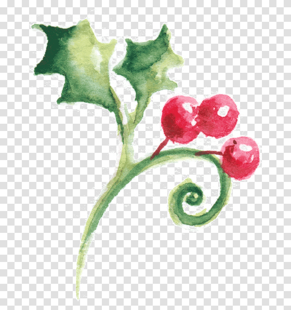 Sketch, Plant, Fruit, Food, Raspberry Transparent Png