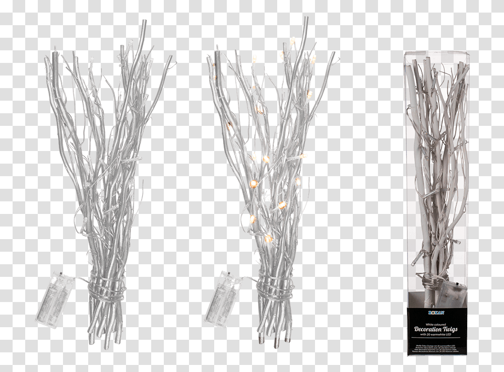 Sketch, Plant, Grass, Tree Transparent Png