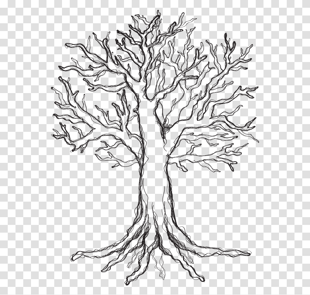 Sketch, Plant, Tree, Oak, Tree Trunk Transparent Png