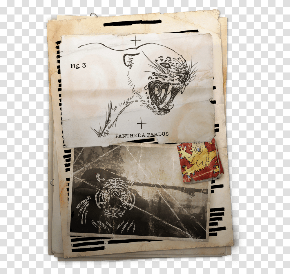 Sketch, Poster, Advertisement, Label Transparent Png