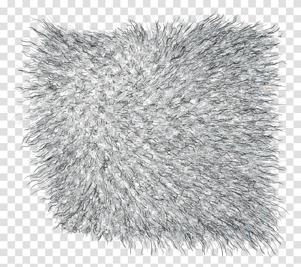 Sketch, Rug, Fur Transparent Png