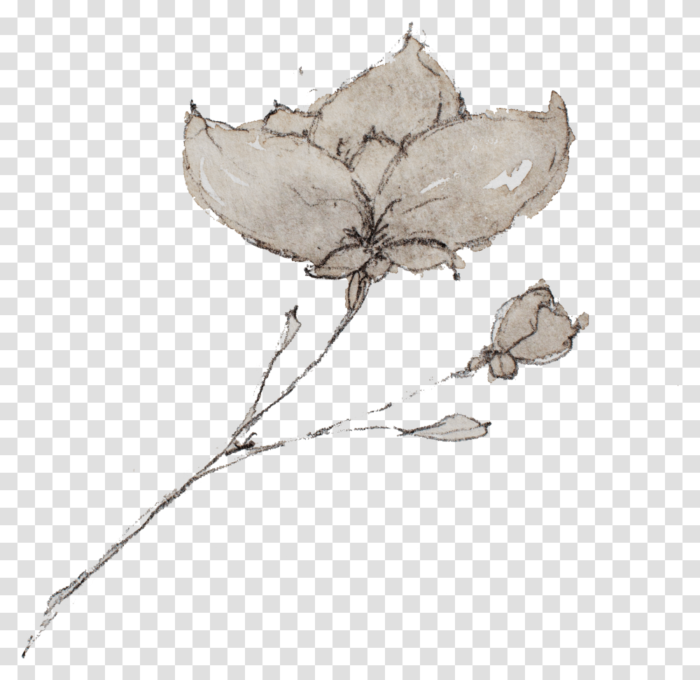Sketch Rustic Flower, Leaf, Plant, Fungus, Tree Transparent Png