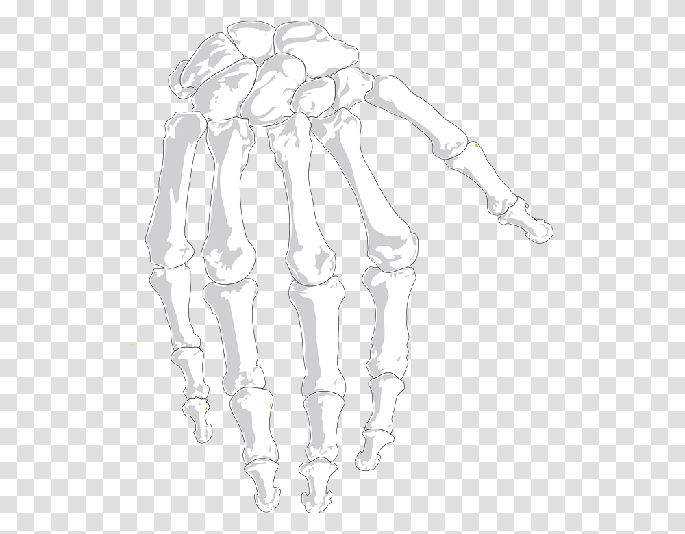 Sketch, Skeleton, Person, Human Transparent Png