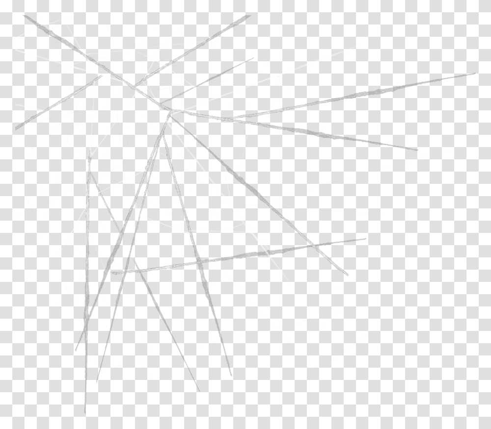 Sketch, Spider Web, Bow, Invertebrate, Animal Transparent Png