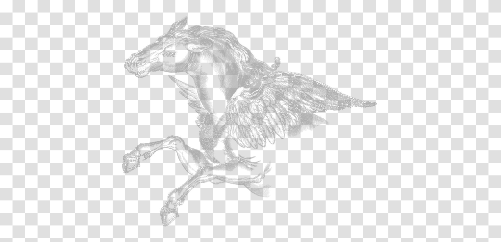 Sketch, Statue, Sculpture, Bird Transparent Png