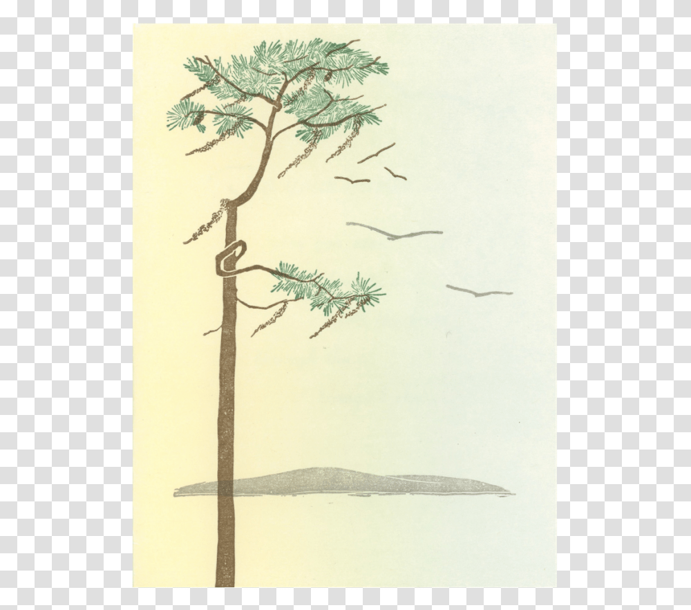 Sketch, Tree, Plant, Drawing Transparent Png