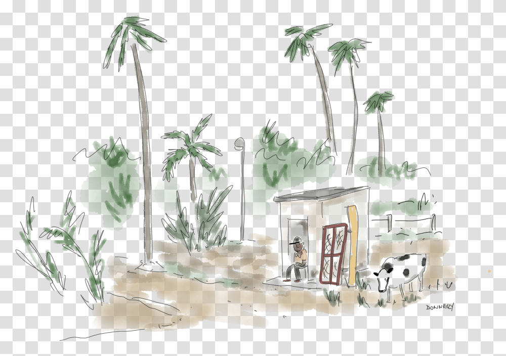 Sketch, Tree, Plant, Building, Housing Transparent Png