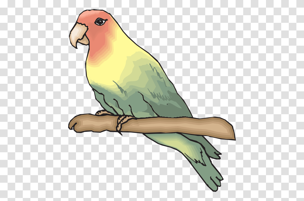 Sketsa Gambar Burung Lovebird, Animal, Parakeet, Parrot, Cockatoo Transparent Png