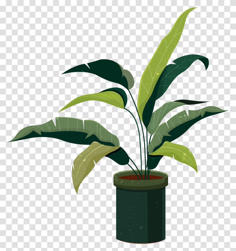 Sketsa Tanaman Hias, Leaf, Plant, Tree, Bamboo Transparent Png