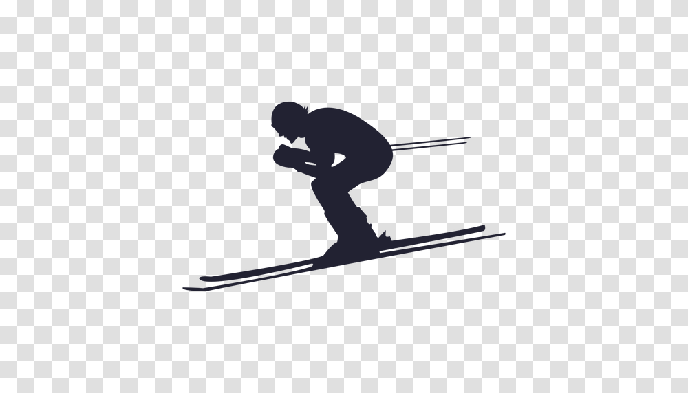 Skiing, Sport, Bird, Animal, Sports Transparent Png