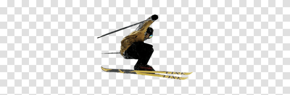 Skiing, Sport, Person, Outdoors, Nature Transparent Png