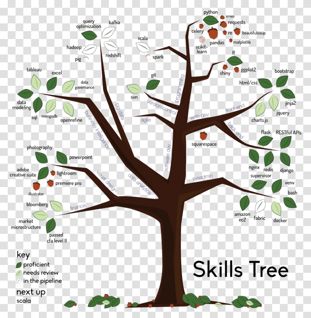 Skills Petralia Technology, Plant, Tree, Flower, Blossom Transparent Png