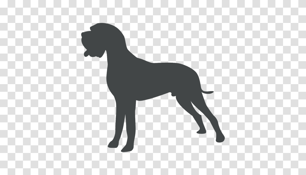 Skinny Dog Silhouette Posing, Animal, Mammal, Pet, Canine Transparent Png