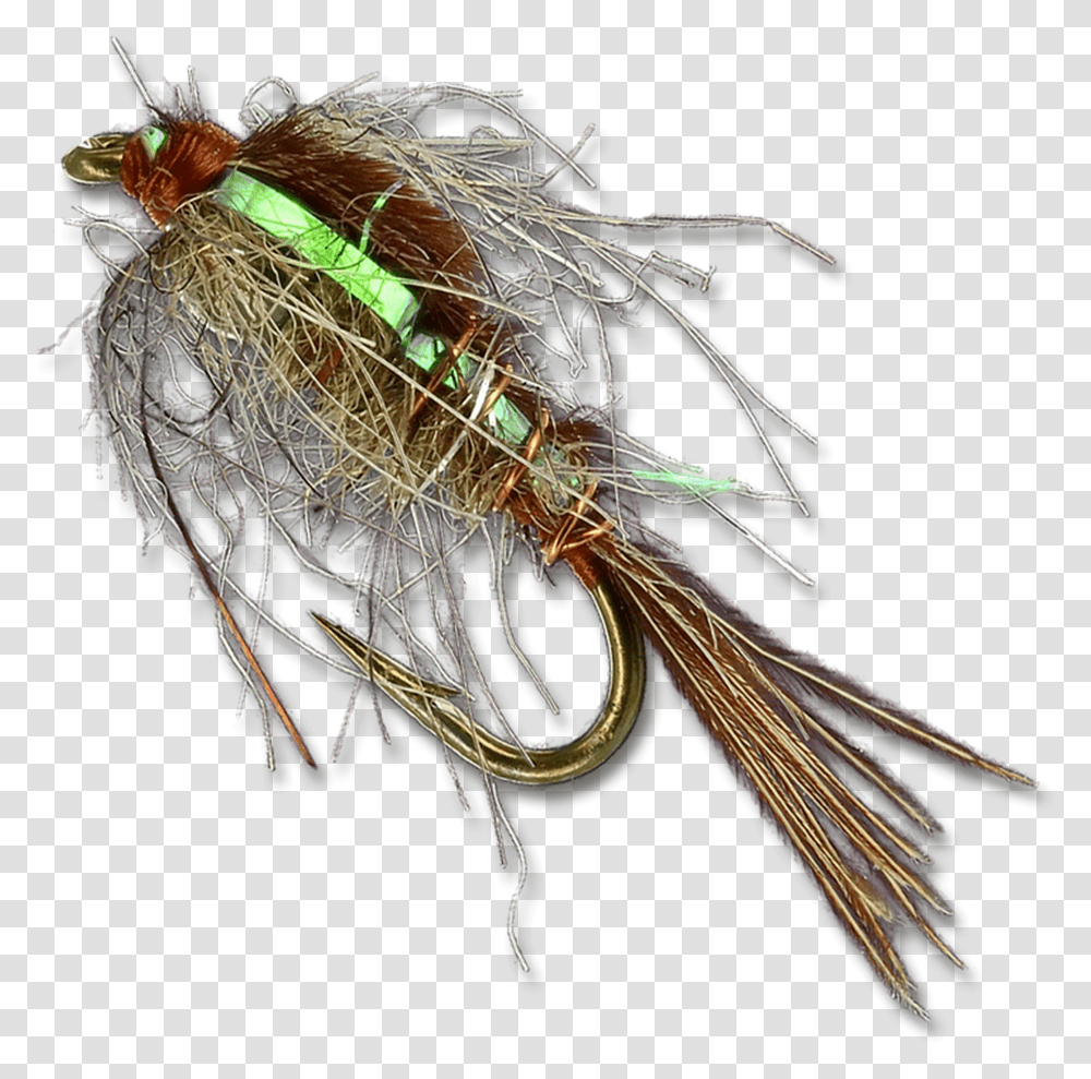 Skip Nymph House Fly, Bow, Animal, Bird, Brooch Transparent Png
