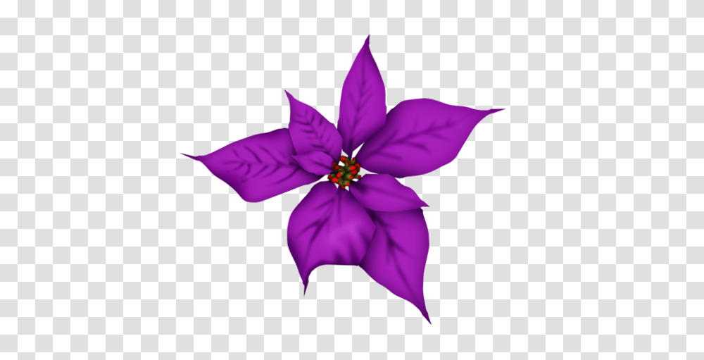 Skrap Nabor Clipart Flower, Purple, Plant, Leaf, Petal Transparent Png