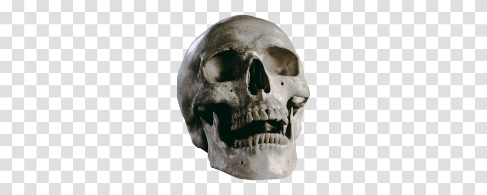 Skull Jaw, Head, Skeleton, Helmet Transparent Png