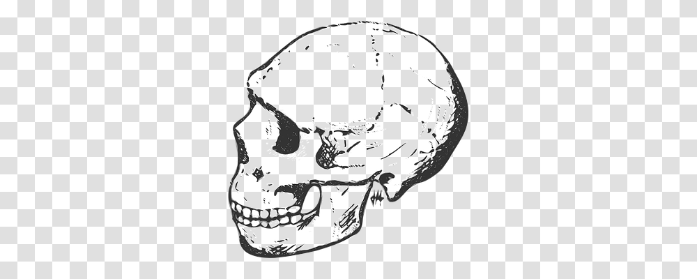 Skull Furniture, Apparel, Drawing Transparent Png