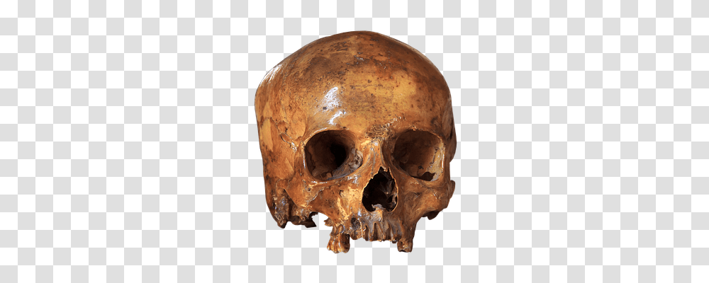 Skull Soil, Painting, Head Transparent Png