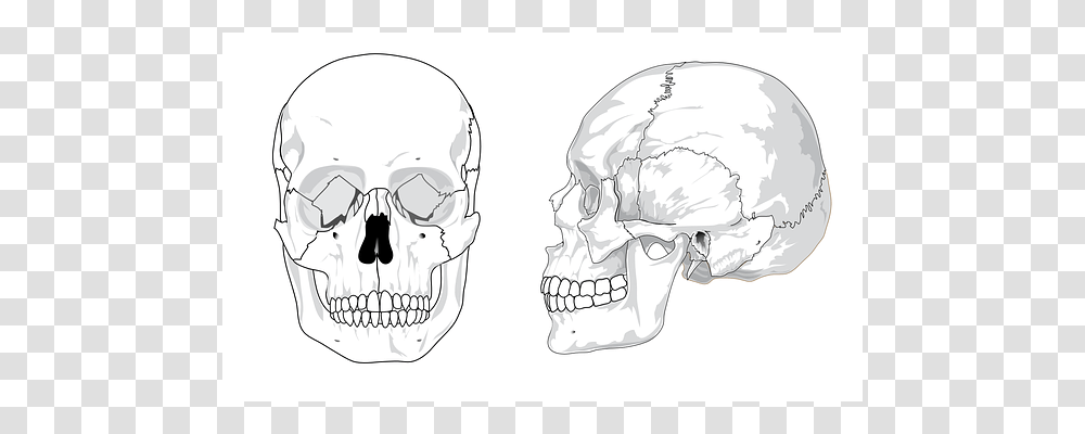 Skull Jaw, Sunglasses, Helmet, Drawing Transparent Png