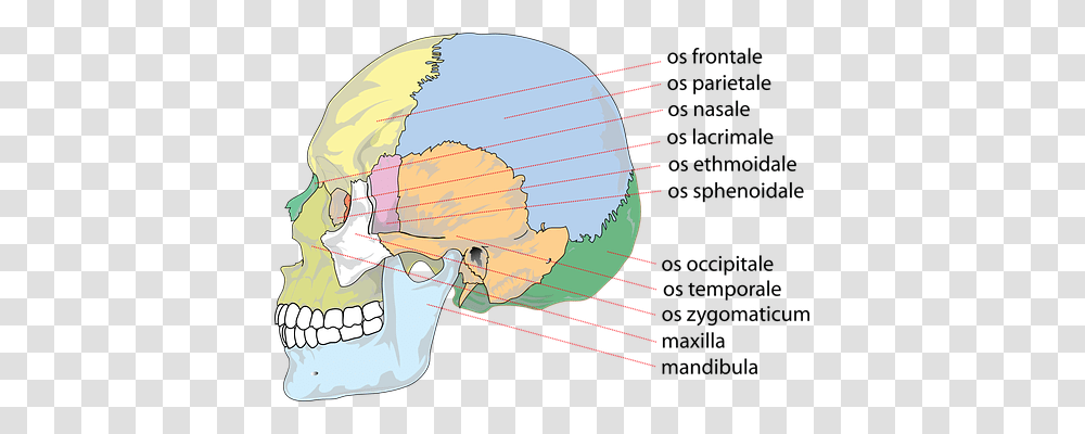 Skull Outer Space, Astronomy, Universe, Planet Transparent Png