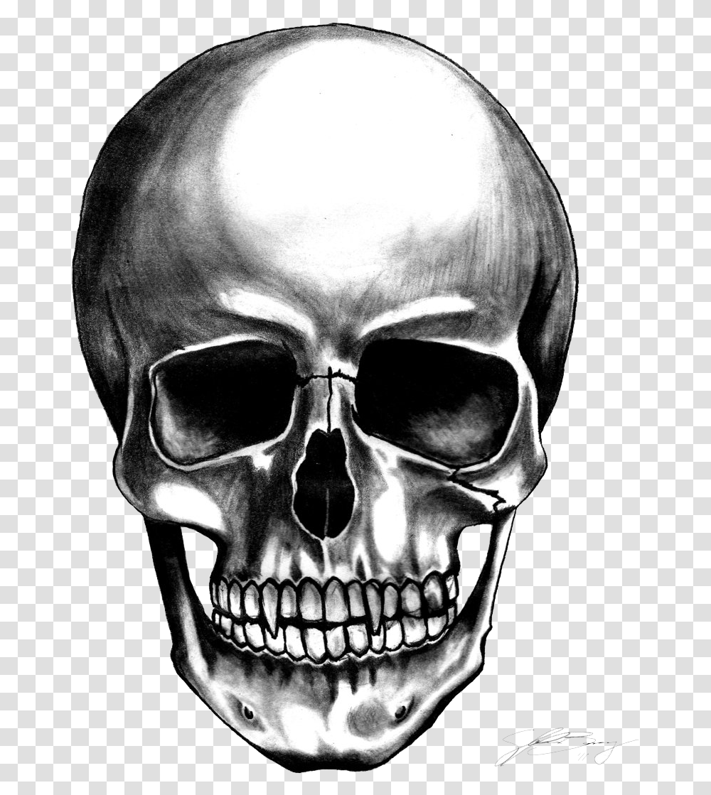 Skull, Alien, Person, Human, Head Transparent Png