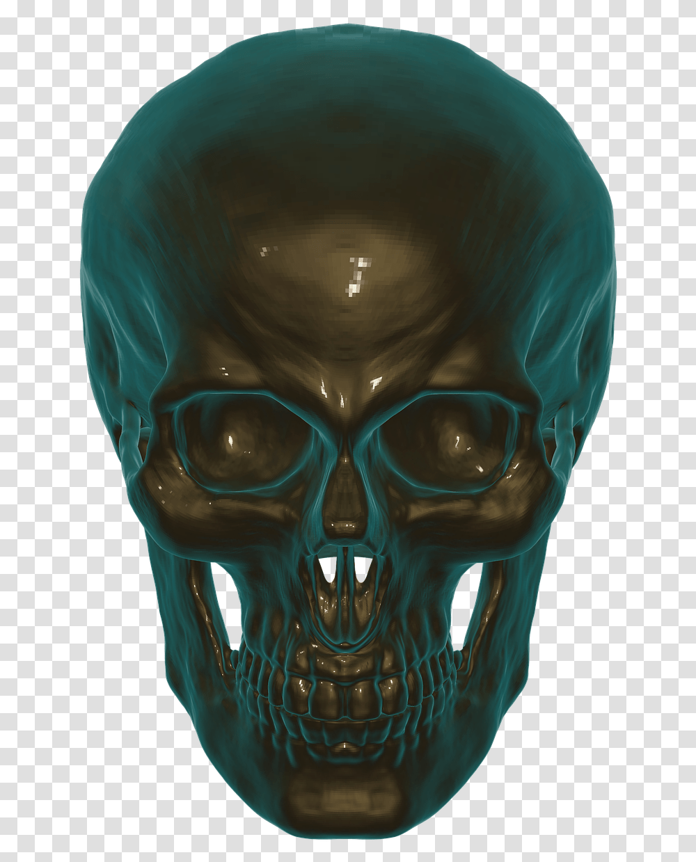 Skull Anatomy Skull And Crossbones Free Photo 3d Human Skull, Alien, Sunglasses, Accessories, Head Transparent Png