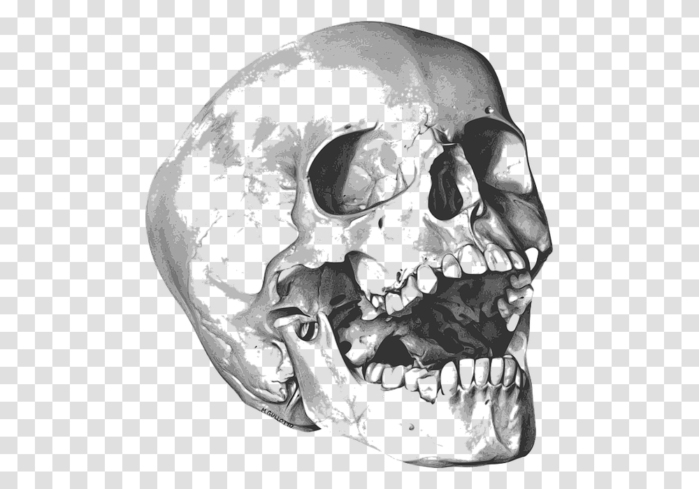 Skull And Bones, Person, Human, X-Ray, Medical Imaging X-Ray Film Transparent Png