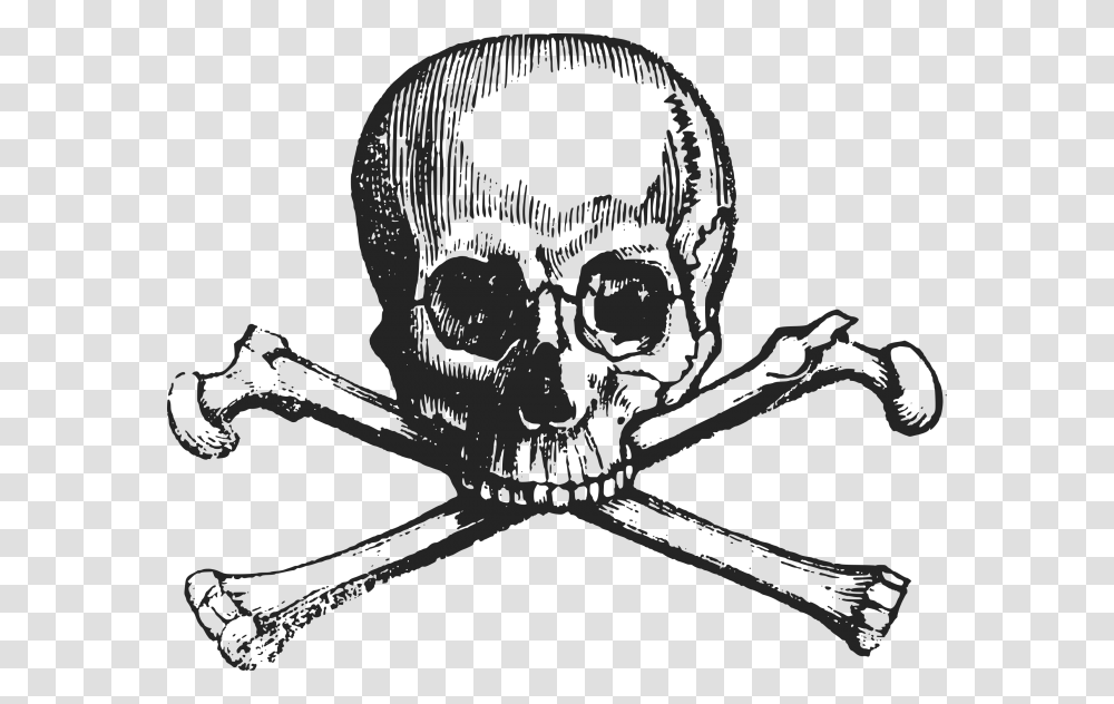Skull And Crossbones, Person, Human, Animal, Sea Life Transparent Png