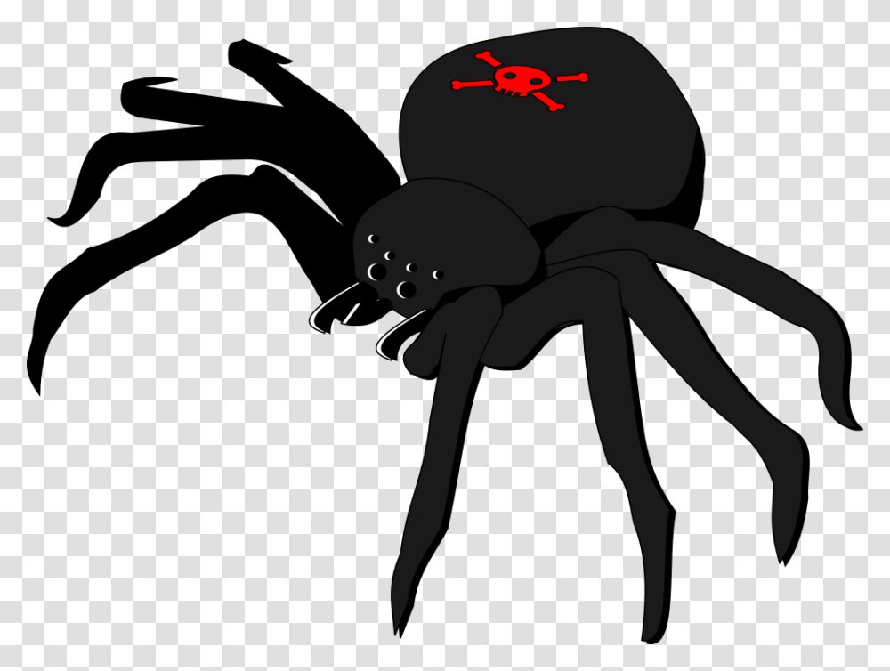 Skull And Crossbones Spider, Insect, Invertebrate, Animal, Ant Transparent Png