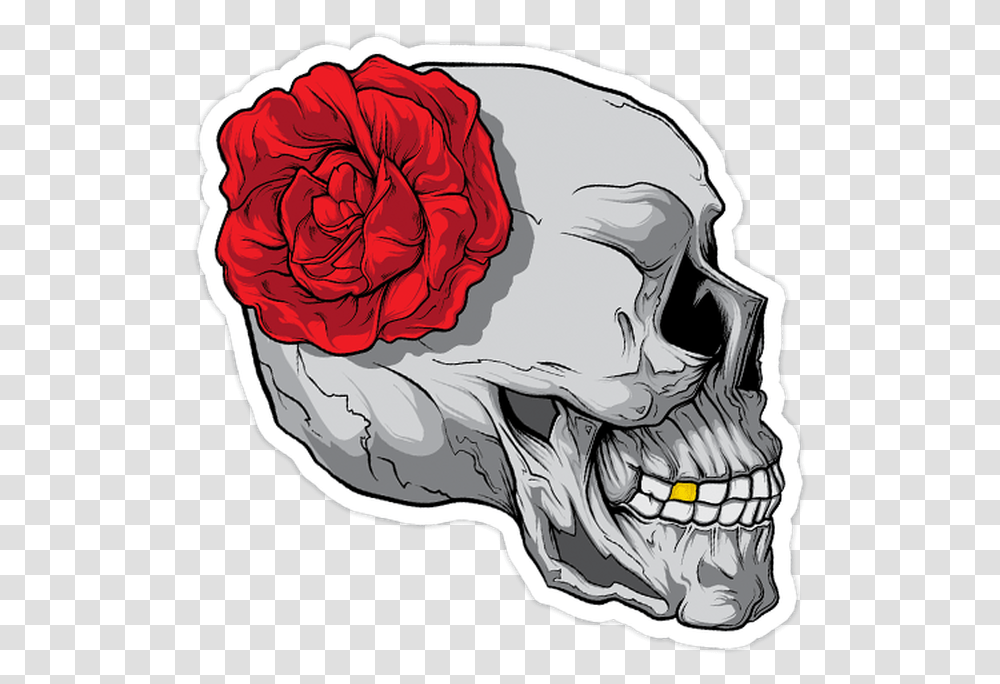 Skull And Rose Die Cut Sticker Skull, Plant, Flower, Blossom, Animal Transparent Png