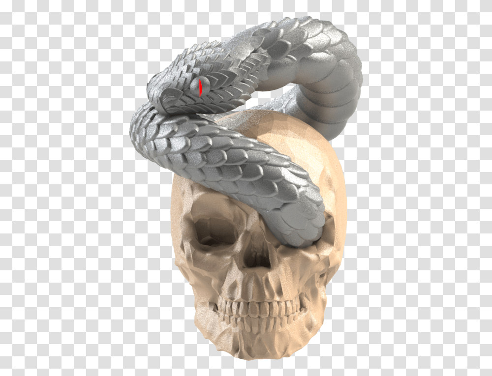 Skull, Animal, Snake, Reptile Transparent Png