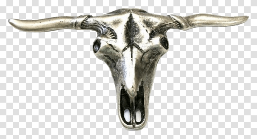 Skull, Antelope, Wildlife, Mammal, Animal Transparent Png